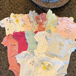Newborn onsies bundle
